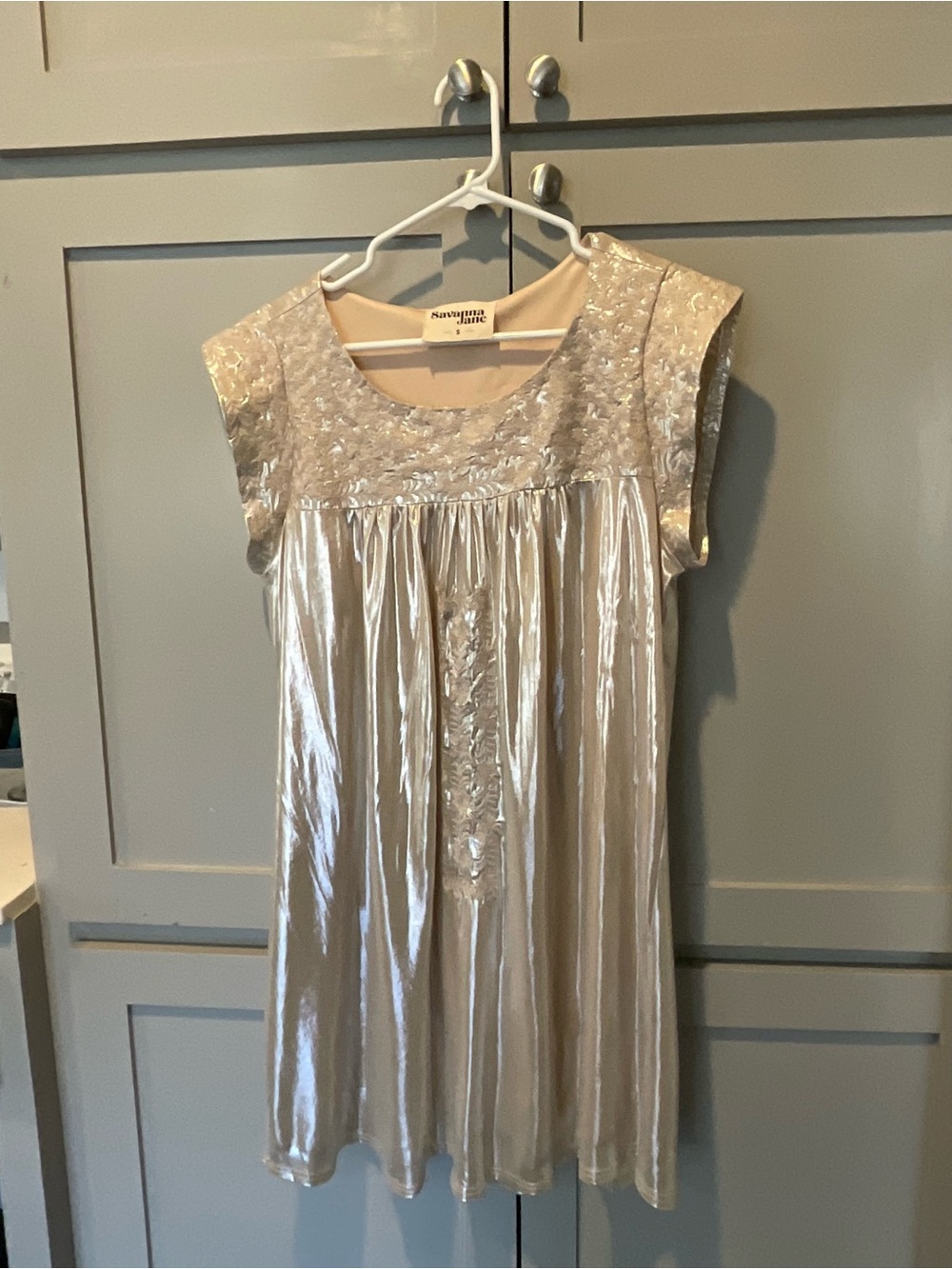 Savanna Jane metallic embroidered Mini Dress
